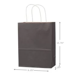 Hallmark 10.7" 12-Pack Assorted Kraft Paper Gift Bags -Hallmark 10.7 Prints and Solids 12Pack Assorted Gift Bags 5EGB6051 03