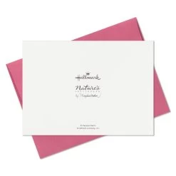 Hallmark Marjolein Bastin Assorted Blank Nature Note Cards In Caddy, Pack Of 24 -Hallmark Bastin Assorted Nature Note Cards Caddy Bulk Pack 1SOM3881 09