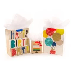 Hallmark 14 Hallmark Bold Birthday 3-Pack Assorted Gift Bags With Tissue