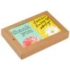 Hallmark Colorful Daisies Boxed Thank-You Notes, Pack Of 50 -Hallmark Colorful Daisies Boxed ThankYou Notes 3THK2543 01