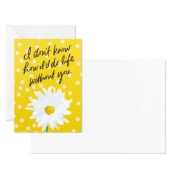 Hallmark Colorful Daisies Boxed Thank-You Notes, Pack Of 50 12 Hallmark Colorful Daisies Boxed Thank-You Notes, Pack Of 50 -Hallmark Colorful Daisies Boxed ThankYou Notes 3THK2543 04