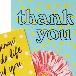 Hallmark Colorful Daisies Boxed Thank-You Notes, Pack Of 50 13 Hallmark Colorful Daisies Boxed Thank-You Notes, Pack Of 50 -Hallmark Colorful Daisies Boxed ThankYou Notes 3THK2543 05