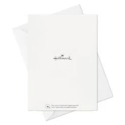 Hallmark Colorful Daisies Boxed Thank-You Notes, Pack Of 50 15 Hallmark Colorful Daisies Boxed Thank-You Notes, Pack Of 50 -Hallmark Colorful Daisies Boxed ThankYou Notes 3THK2543 07