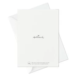 Hallmark Elegant Dimensions Boxed Blank Thank-You Notes Assortment, Pack Of 120 -Hallmark Elegant Dimensions Assorted Boxed ThankYou Cards 5STZ1161 06