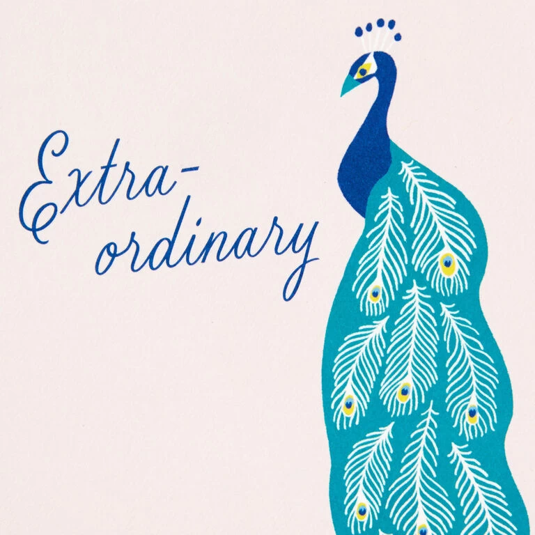 Hallmark Exotic Animals Assorted Blank Thank-You Notes, Pack Of 48 5 Hallmark Exotic Animals Assorted Blank Thank-You Notes, Pack Of 48 - Image 3