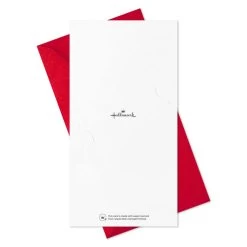 Hallmark Colorful And Casual Money-Holder Boxed Christmas Cards Assortment, Pack Of 36 -Hallmark Festive Assorted MoneyHolder Boxed Christmas Cards 5CZE2139 08