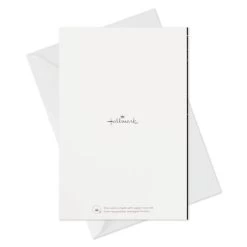 Hallmark Confetti Celebration Assorted Graduation Cards, Pack Of 36 15 Hallmark Confetti Celebration Assorted Graduation Cards, Pack Of 36 -Hallmark Grad Caps Confetti Graduation Cards Assortment 5GEY1003 07