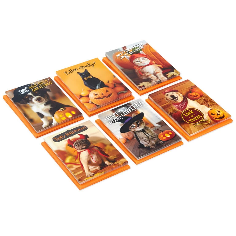 Hallmark Pet Puns Boxed Halloween Cards Assortment, Pack Of 48 3 Hallmark Pet Puns Boxed Halloween Cards Assortment, Pack Of 48