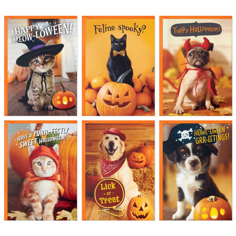 Hallmark Pet Puns Boxed Halloween Cards Assortment, Pack Of 48 4 Hallmark Pet Puns Boxed Halloween Cards Assortment, Pack Of 48 - Image 2