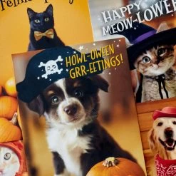 Hallmark Pet Puns Boxed Halloween Cards Assortment, Pack Of 48 10 Hallmark Pet Puns Boxed Halloween Cards Assortment, Pack Of 48 -Hallmark Pet Puns Boxed Halloween Cards Assortment 5ELT1013 03