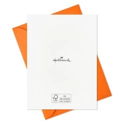 Hallmark Pet Puns Boxed Halloween Cards Assortment, Pack Of 48 12 Hallmark Pet Puns Boxed Halloween Cards Assortment, Pack Of 48 -Hallmark Pet Puns Boxed Halloween Cards Assortment 5ELT1013 05