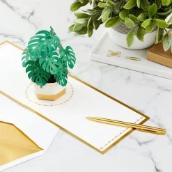 Hallmark Plant In Pot 3D Pop-Up Thinking Of You Card -Hallmark Plant in Pot 3D PopUp Thinking of You Card 1299LAD2900 07